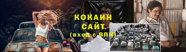 прущие крисы Гусев