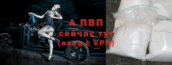 прущие крисы Гусев
