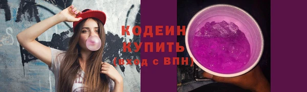 тгк Дмитриев