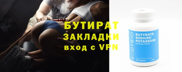 тгк Дмитриев