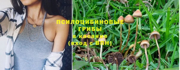 ПСИЛОЦИБИНОВЫЕ ГРИБЫ Дмитровск