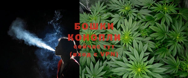 эйфоретик Гусиноозёрск