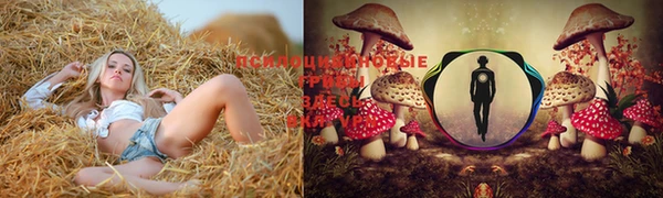 прущие крисы Гусев