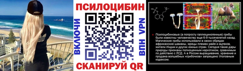 Псилоцибиновые грибы мицелий  Купить  Гдов 