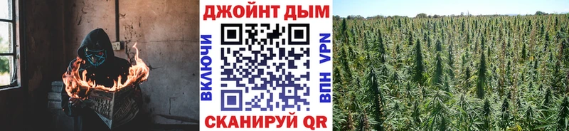 Купить закладки  Гдов  МАРИХУАНА сатива 